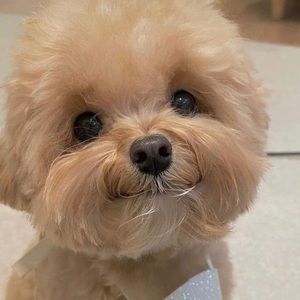 Meet your Posher, Aleen